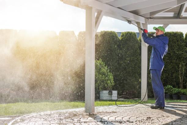 Best Roof Cleaning and Mildew Removal in Dranesville, VA