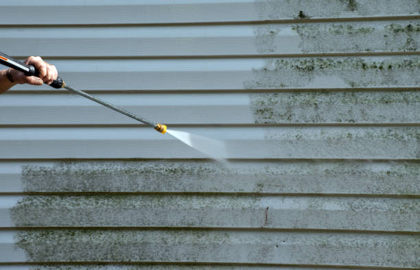 Best Gutter Cleaning and Brightening in Dranesville, VA