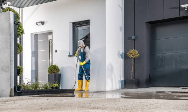 Best Driveway Cleaning and Restoration in Dranesville, VA